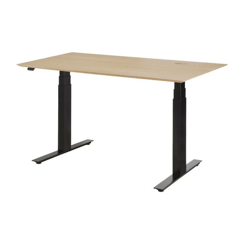 ergonomic adjustable desk easy assembly free returns